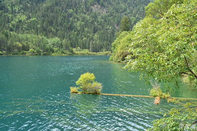 DSC_0036.JPG