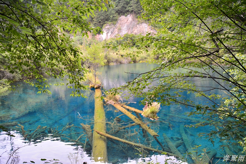 DSC_0107.JPG
