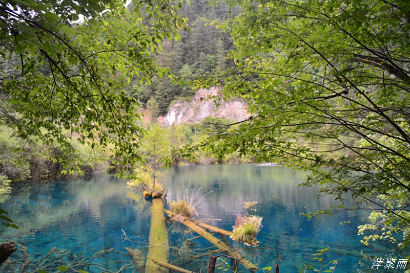 DSC_0108.JPG