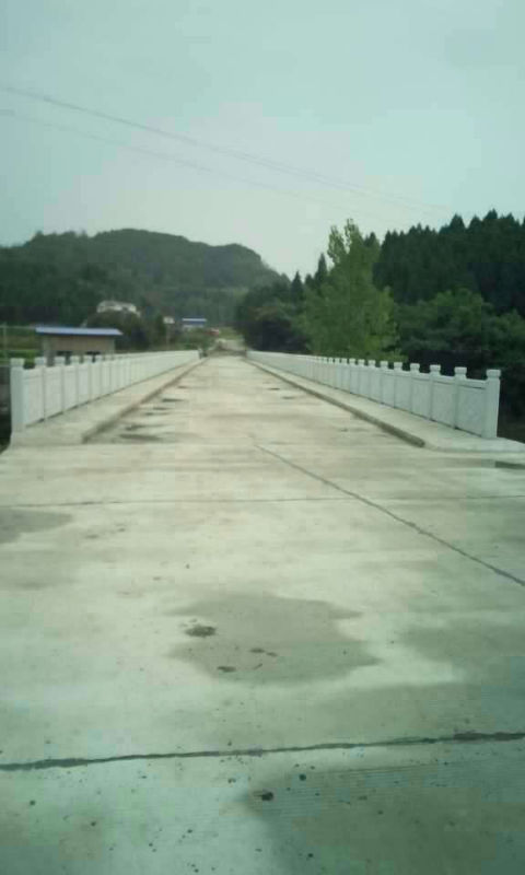 mmexport1440382323219.jpg