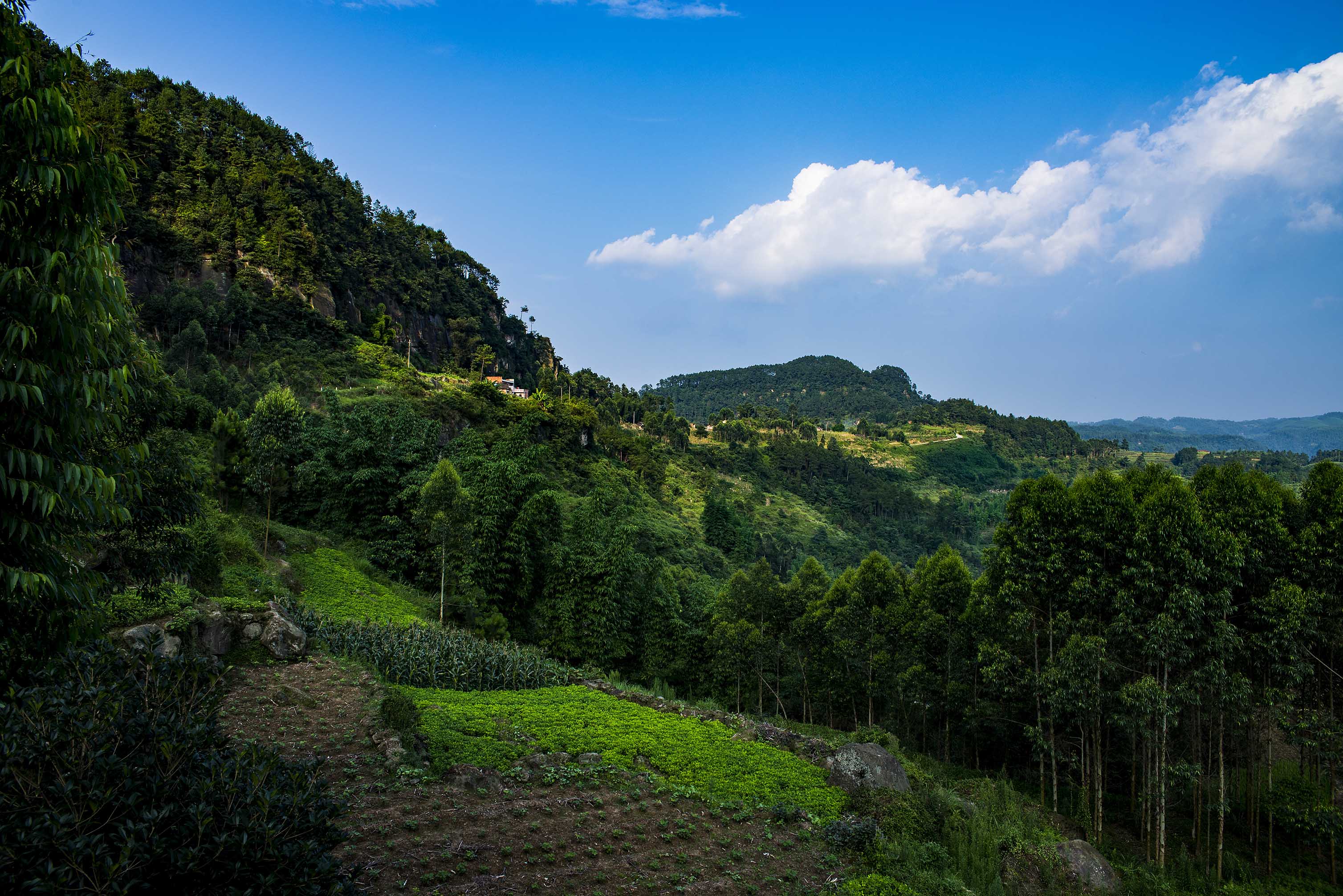 威远骑龙坳景区图片图片