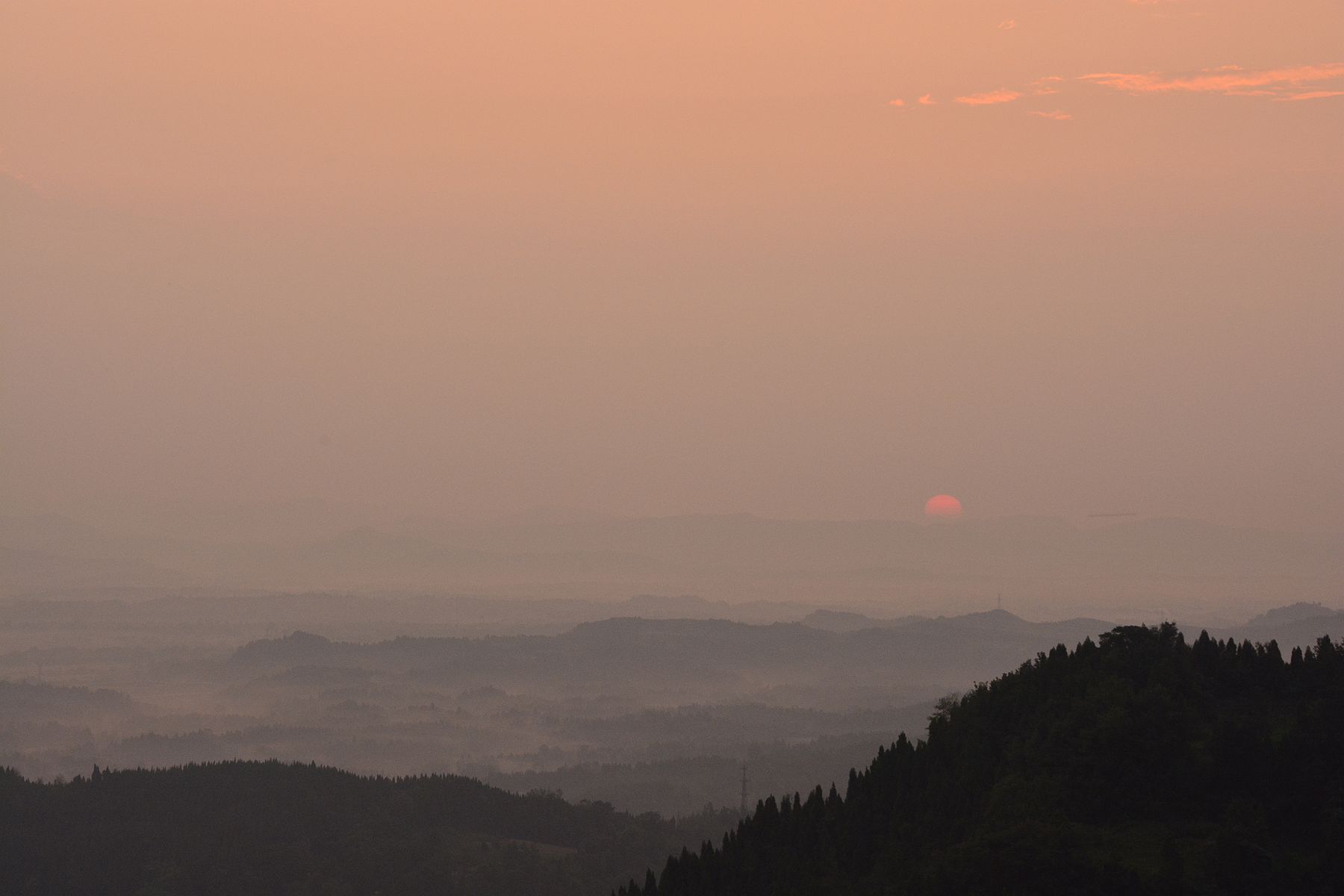 DSC_1303_.jpg