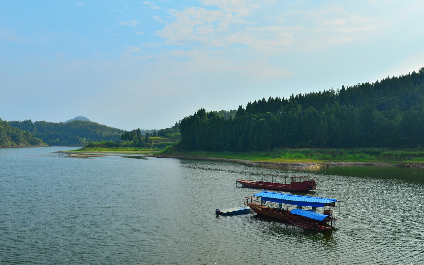 DSC_136116.jpg