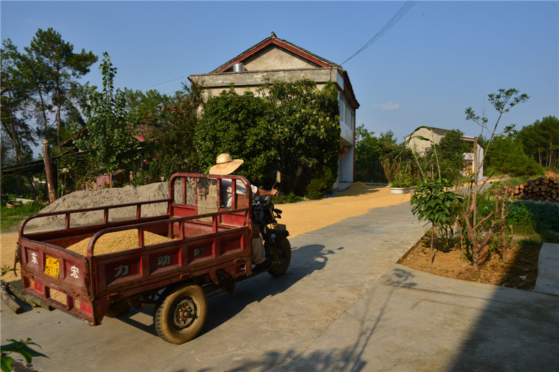 DSC_1359.jpg
