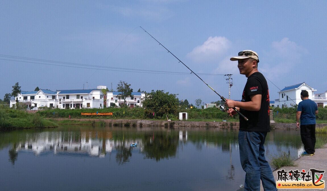 QQͼƬ20150831123654.jpg