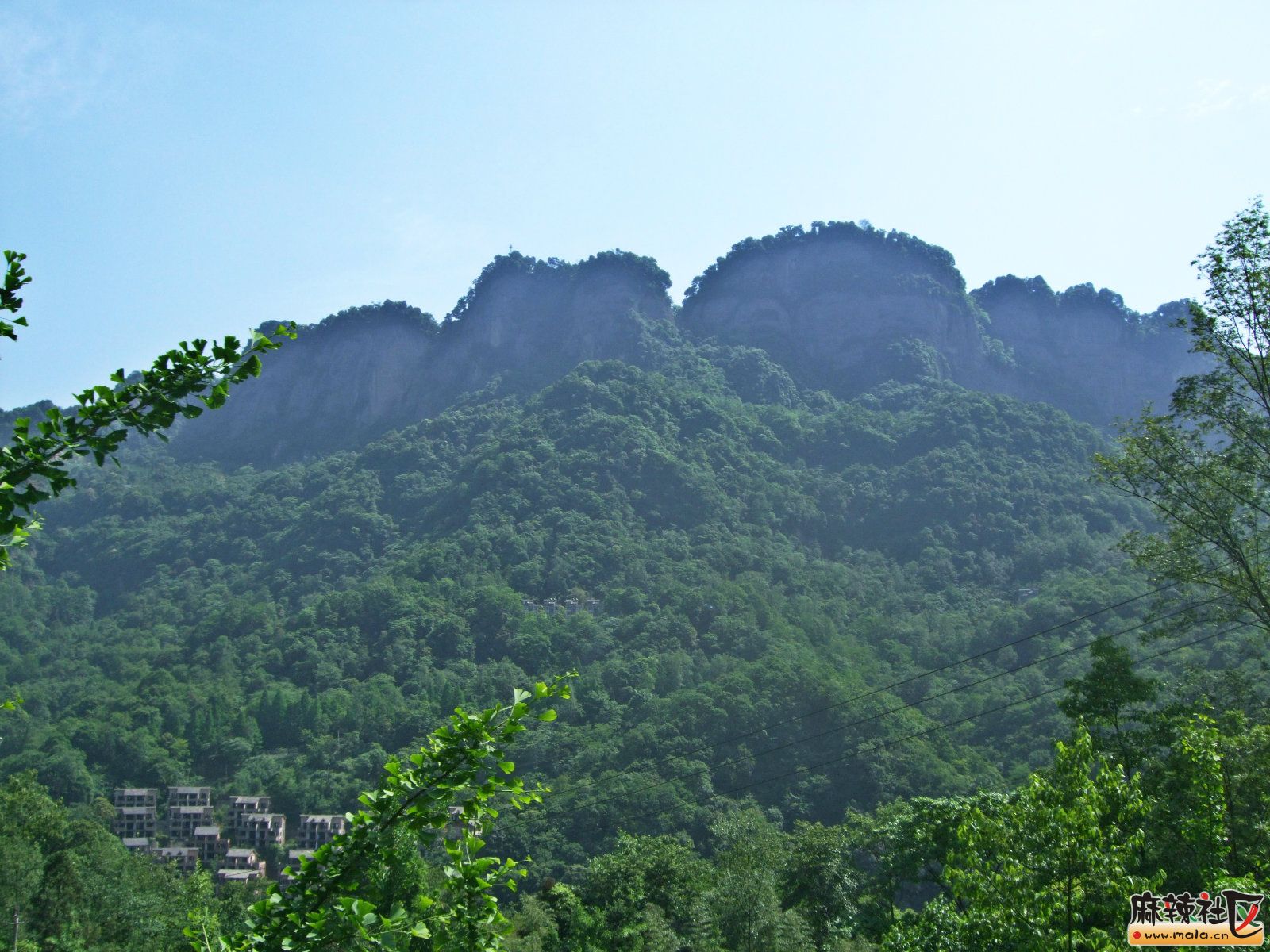 2015-5-9ߴ 022_meitu_12.jpg