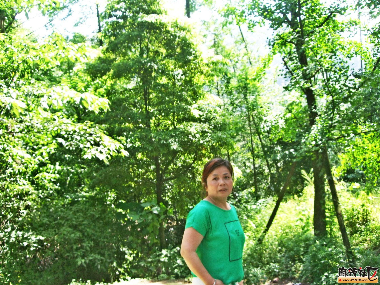 2015-5-9ߴ 032_meitu_6.jpg