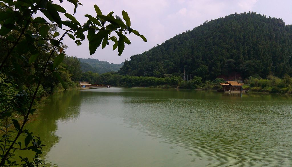 IMG_20150830_134114.jpg