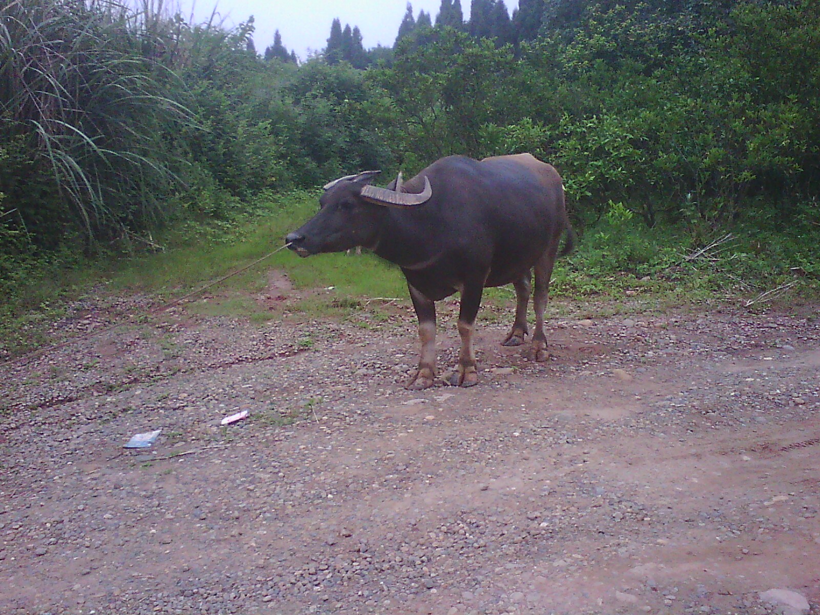 IMG13198.jpg