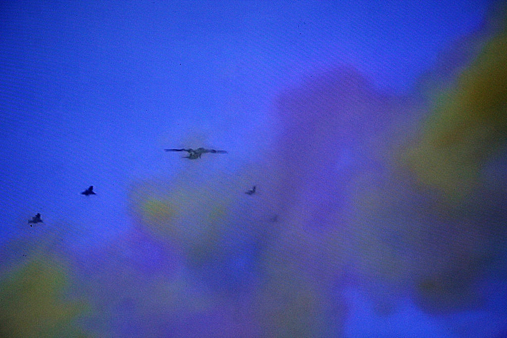 295.JPG