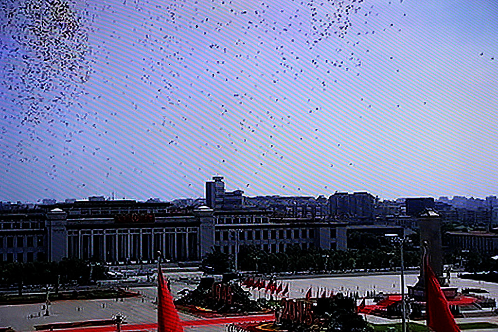 356.JPG