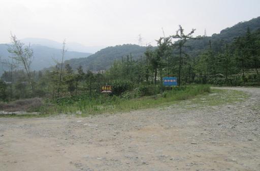 IMG_2390.JPG