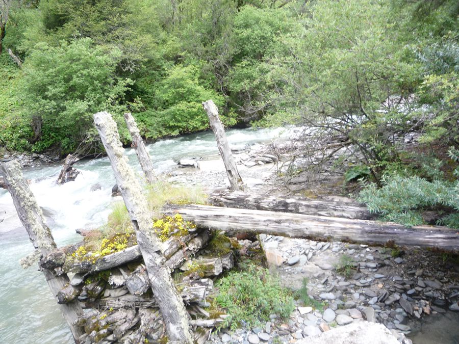 P1170167.jpg