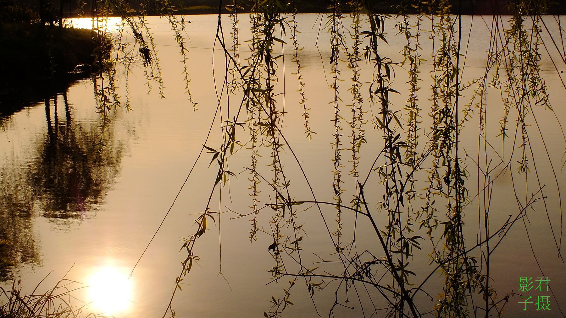 DSCF3137__.jpg