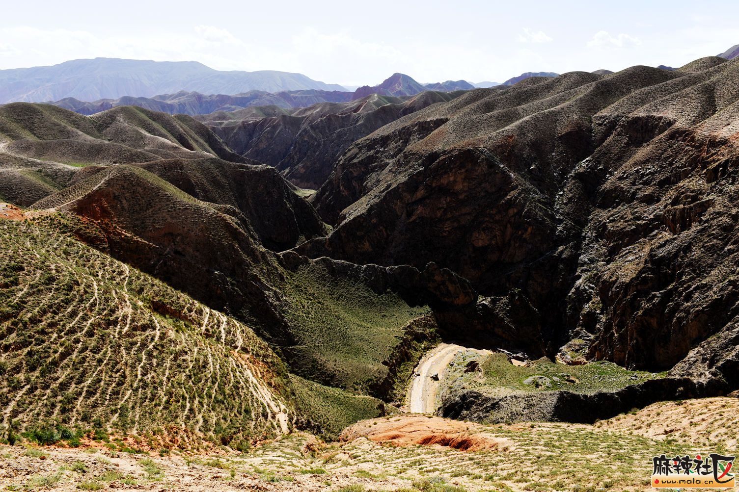 _DSC7124.JPG