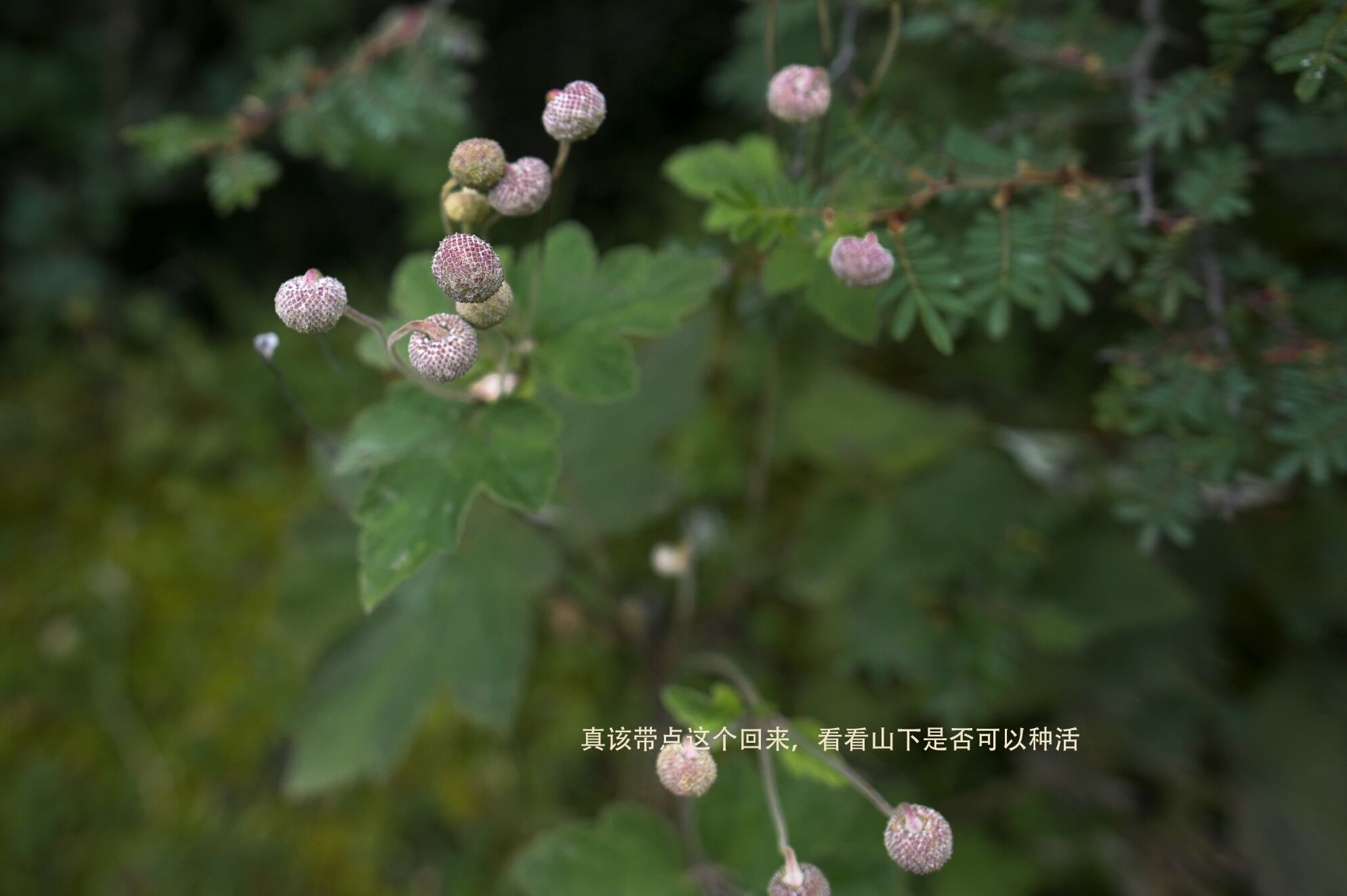 QQͼƬ20150910012117.jpg