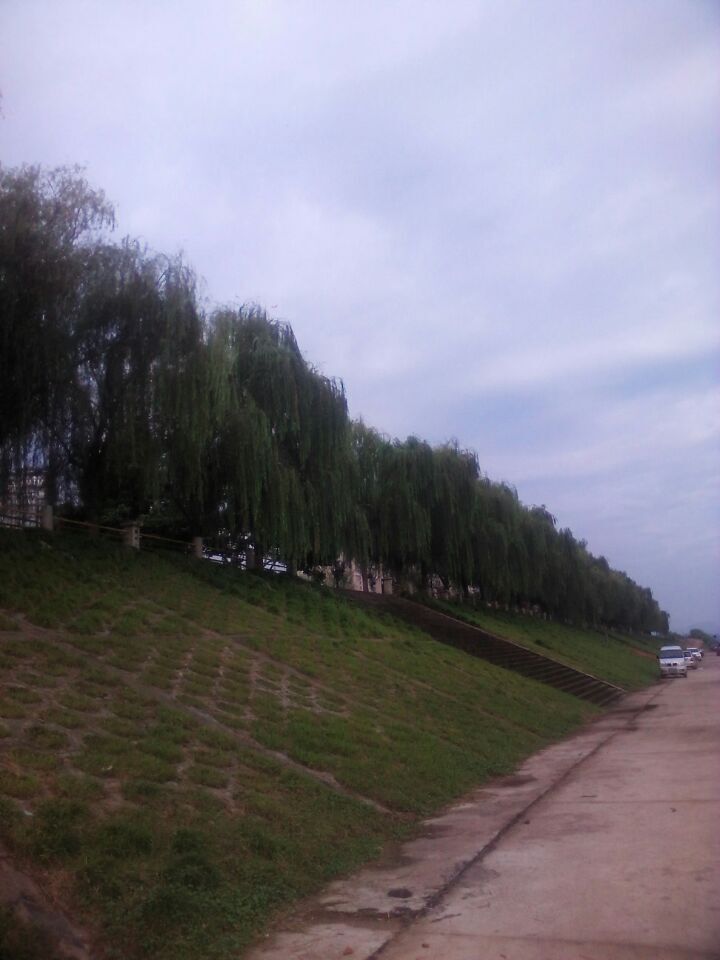 Ǵ죬