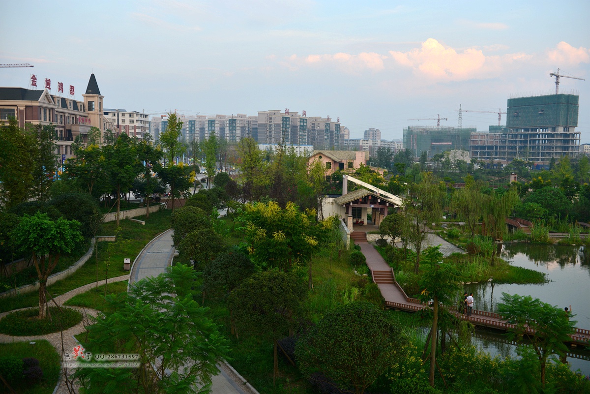 DSC_6481.jpg