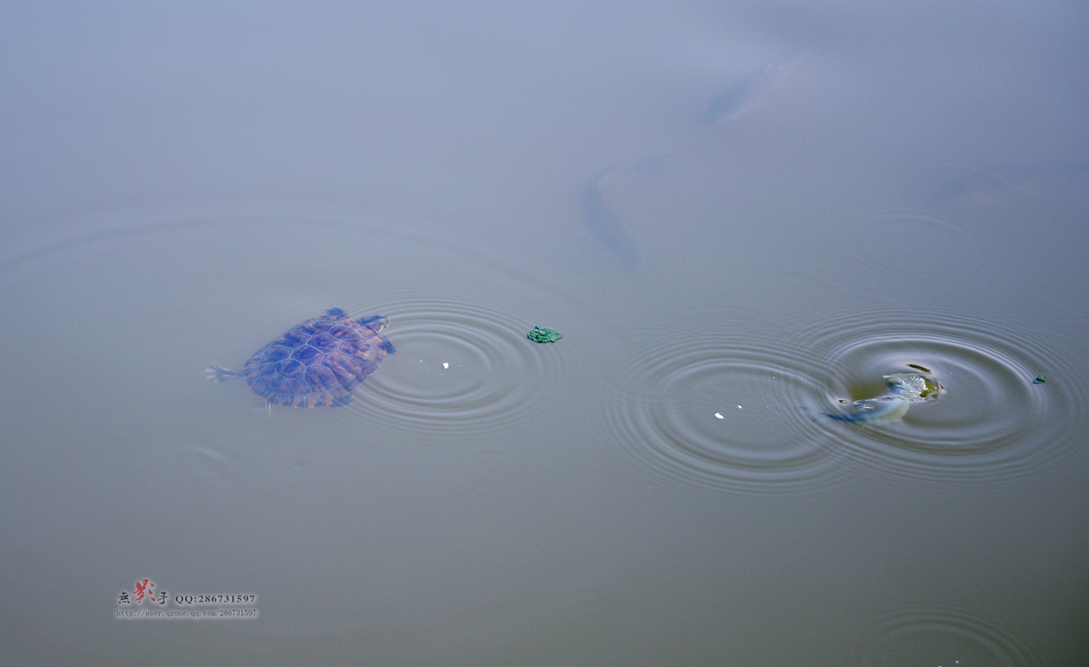 DSC_6436.jpg