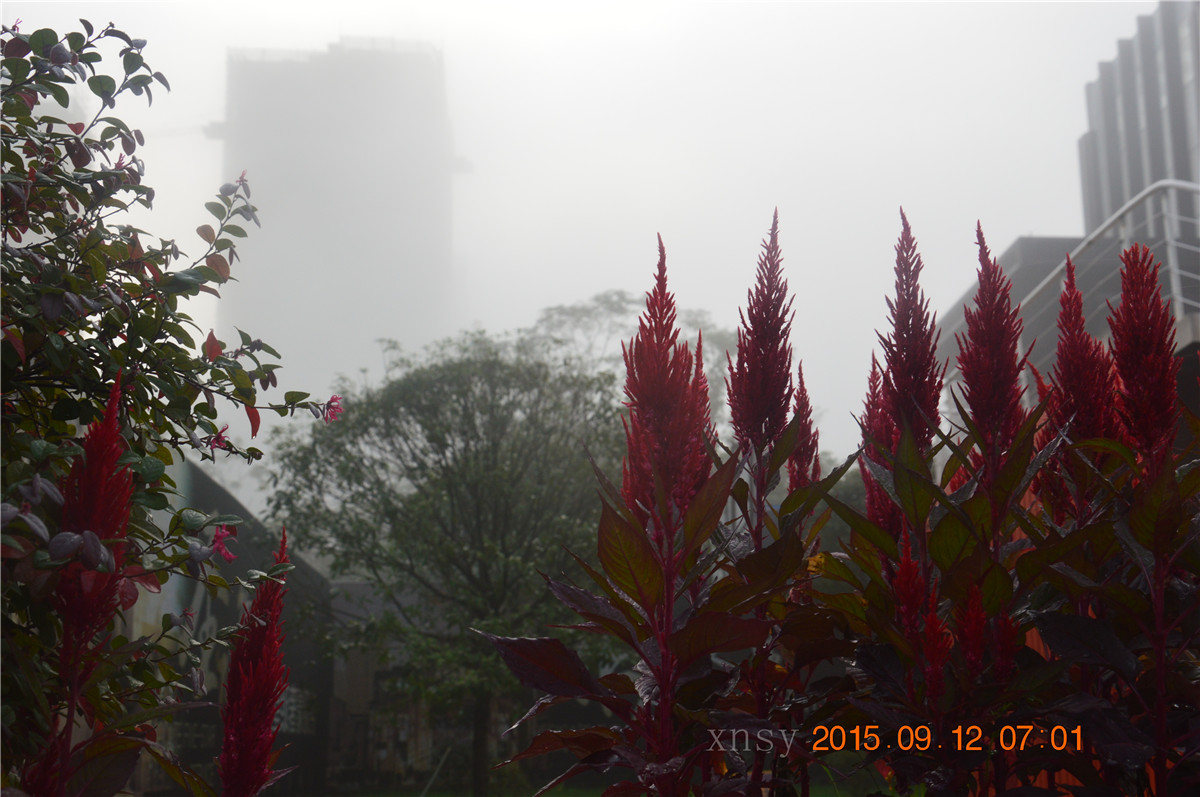 DSC_0010.JPG