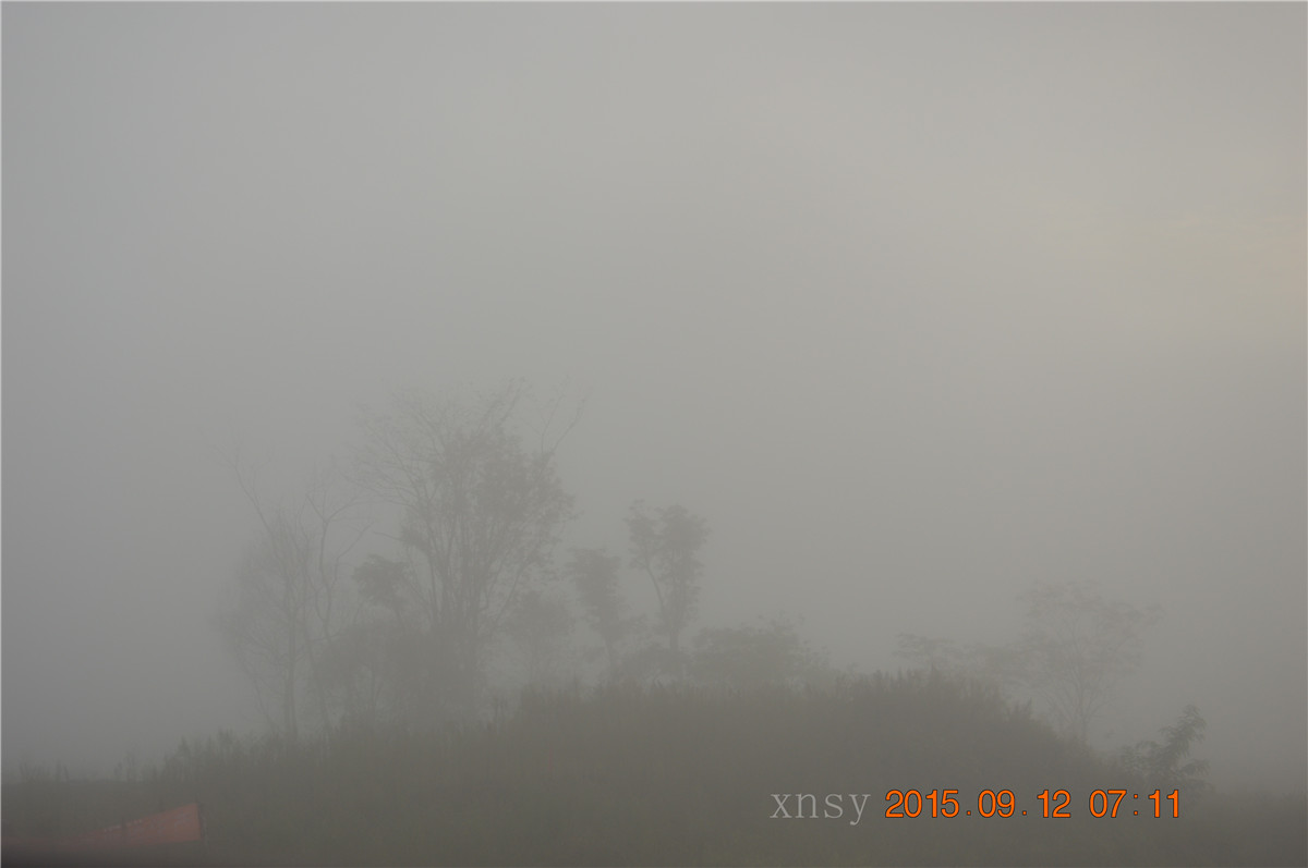 DSC_0019.JPG