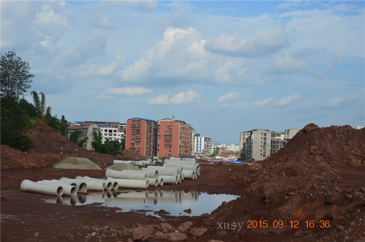 DSC_0110.JPG