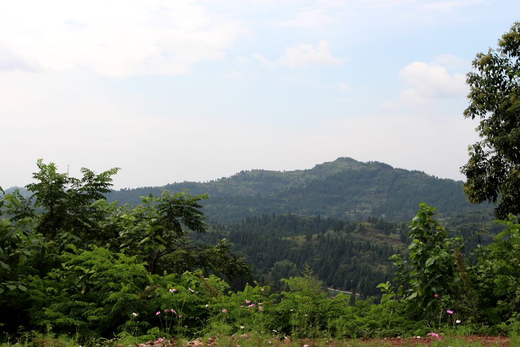 IMG_1581.JPG