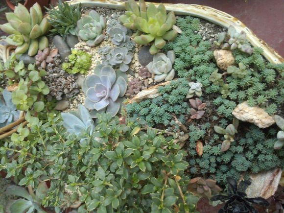 ɶ廨ܽг (26).jpg