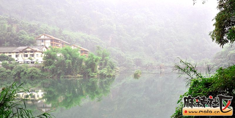 DSCN9005.jpg