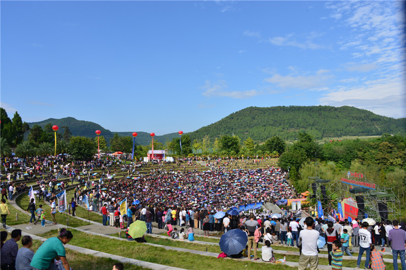DSC_4484.jpg