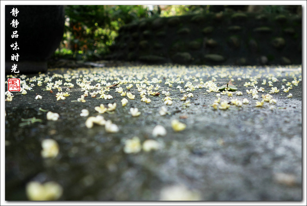 DSC08801.jpg
