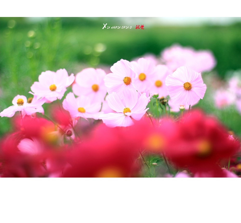 2015091908.jpg