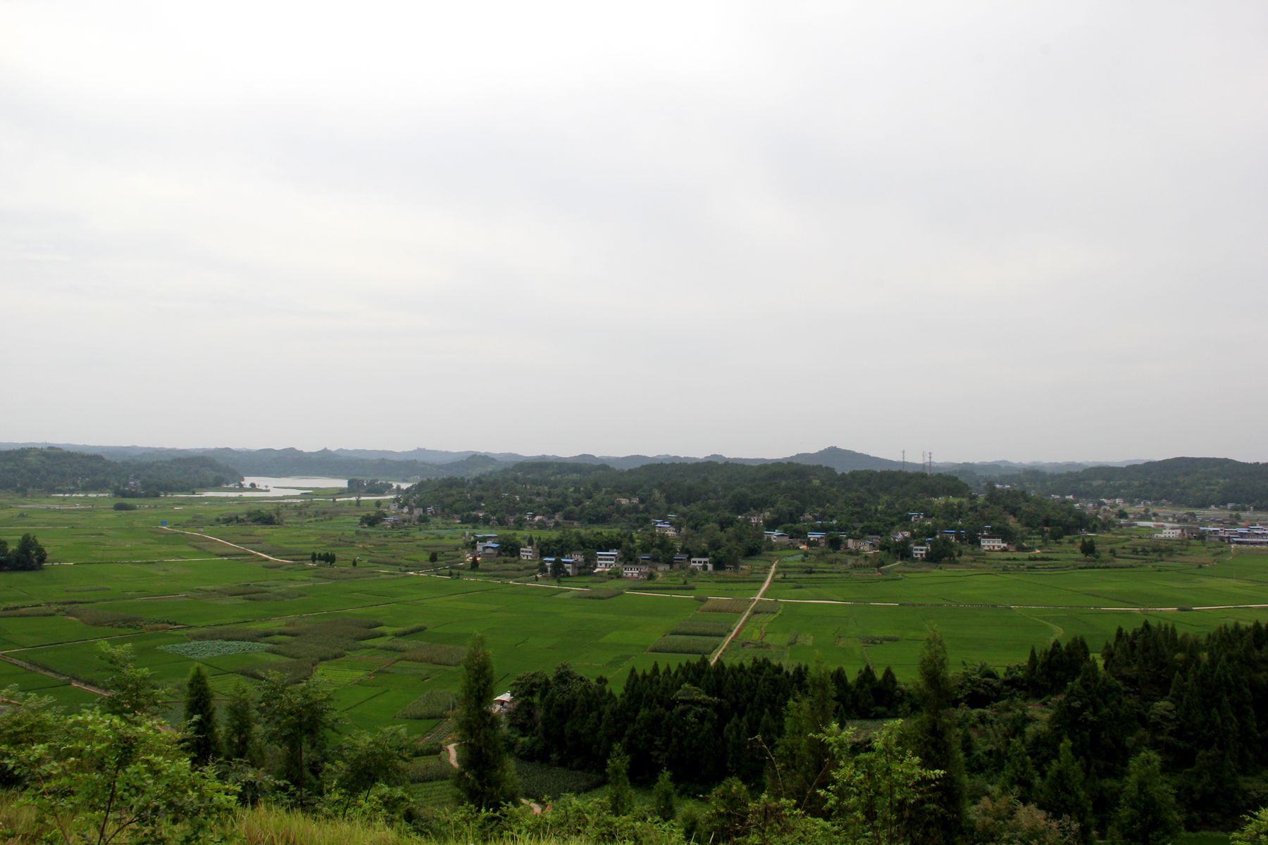 235612mca8tvovma8a8bpm.jpg