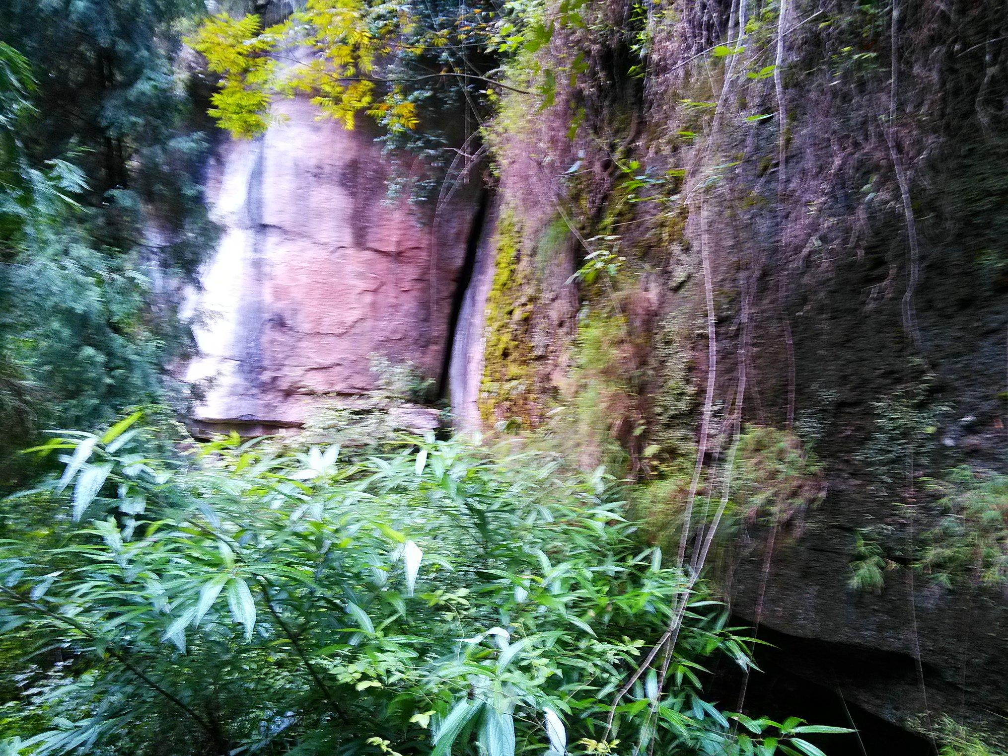 IMG_20150925_162948.jpg