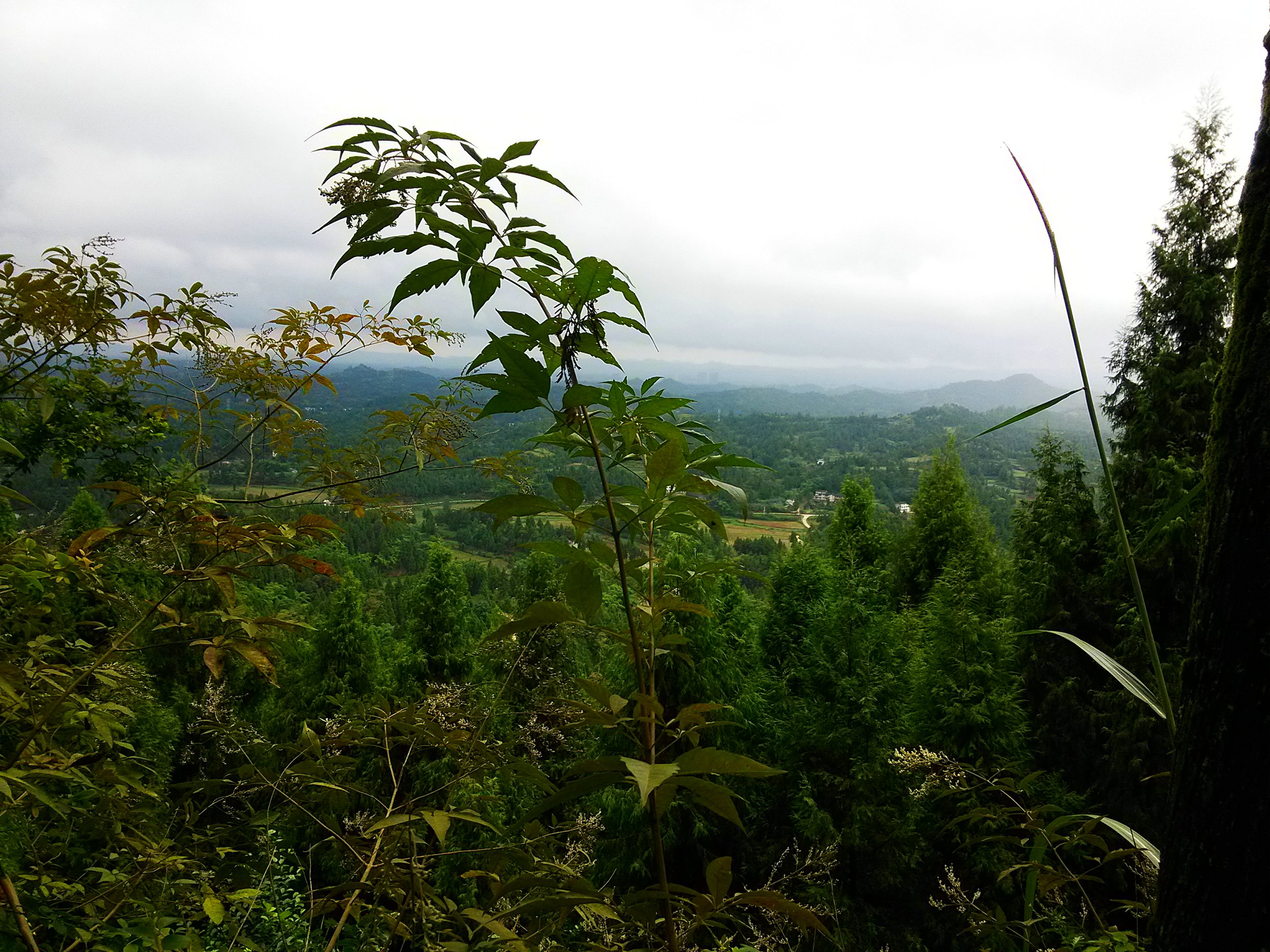 IMG_20150925_163059.jpg