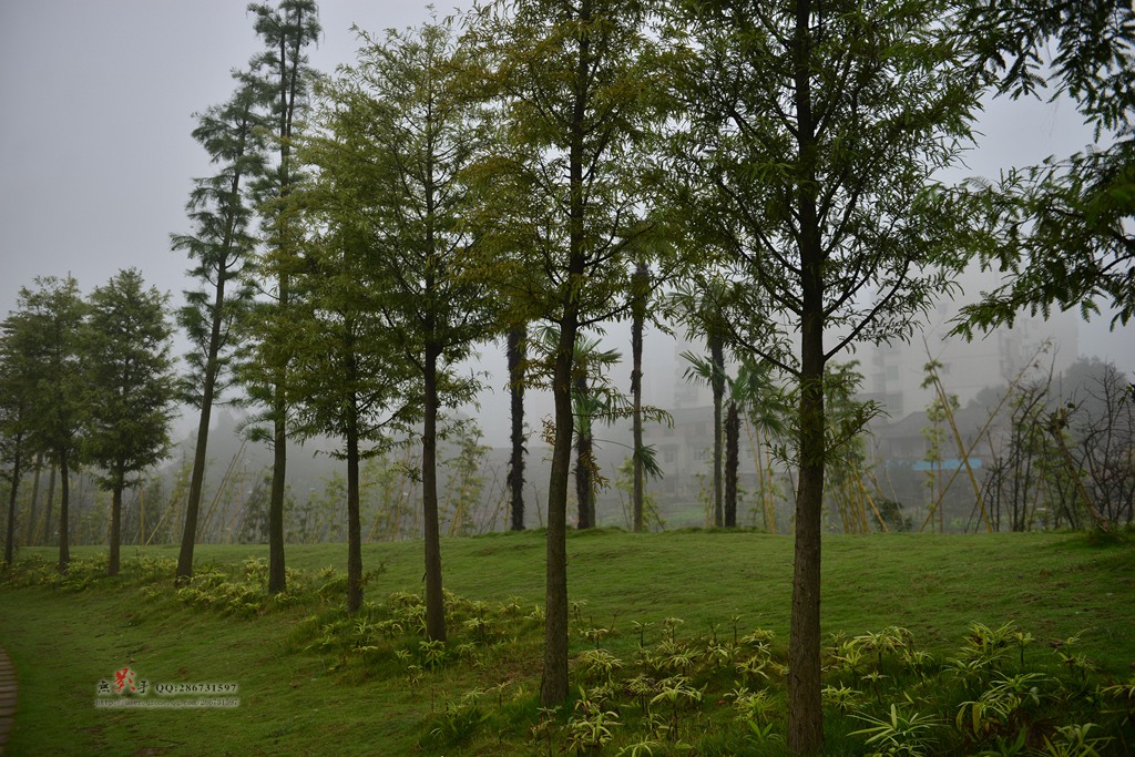 DSC_1099.jpg