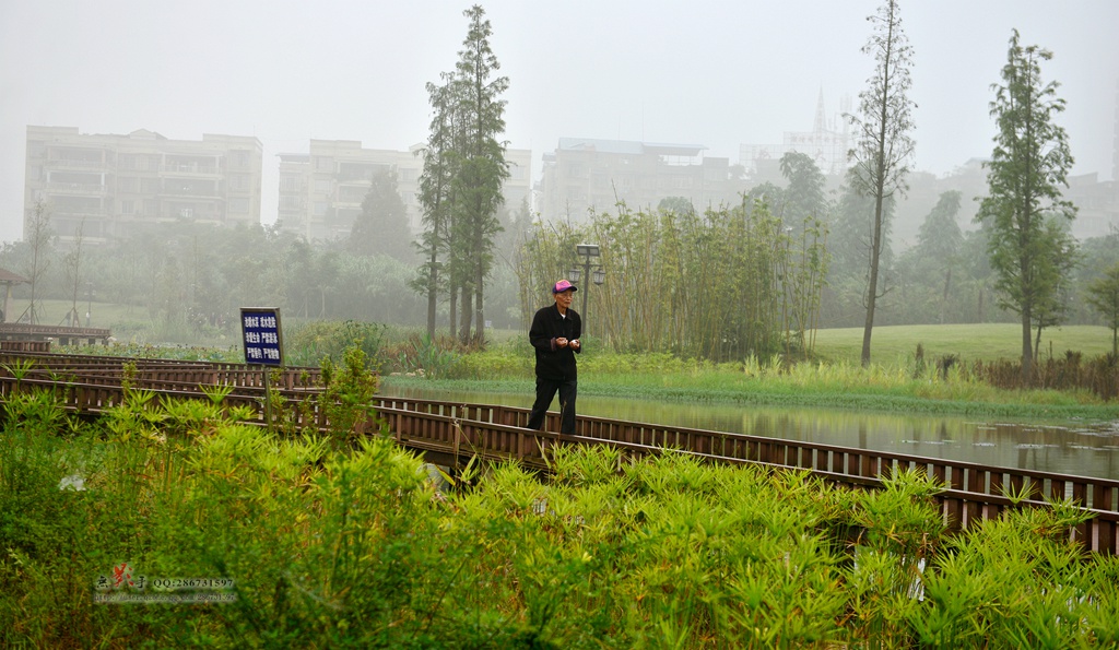 DSC_1123.jpg