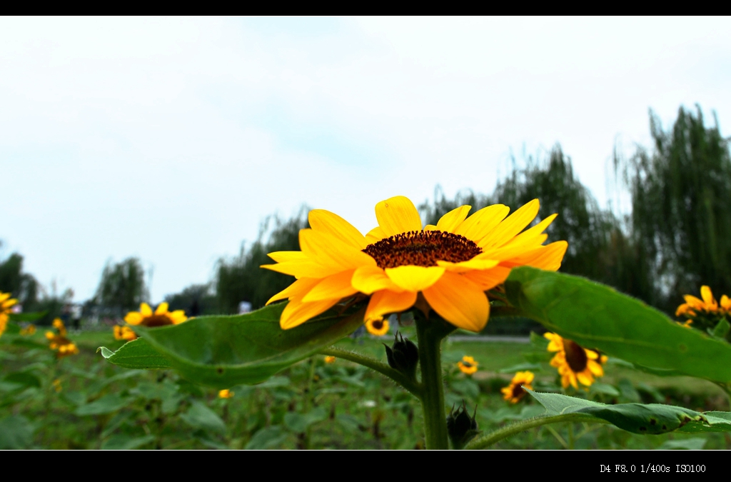 DSC_5215_.jpg