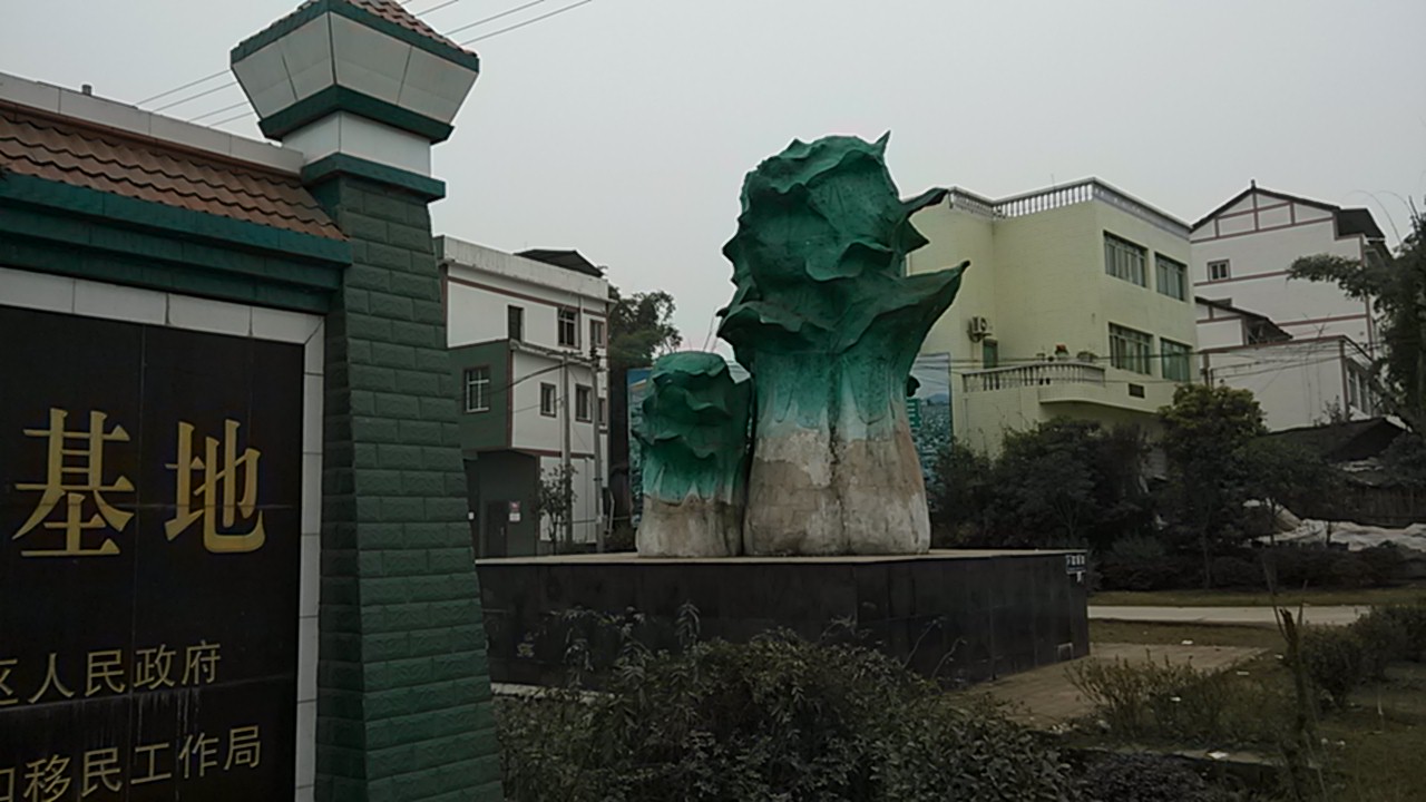 IMG_20140102_145206.jpg