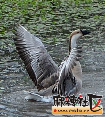 DSC_8277.JPG