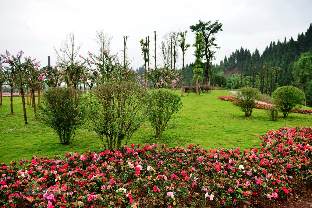 DSC_1496.jpg