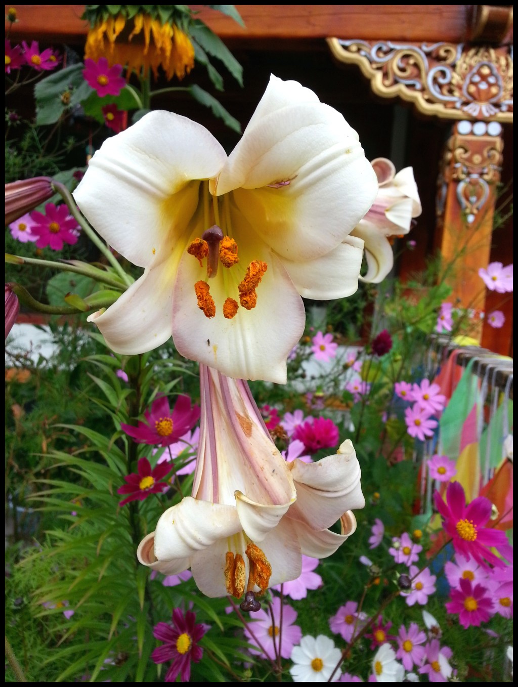 conew_20130920_08243.jpg