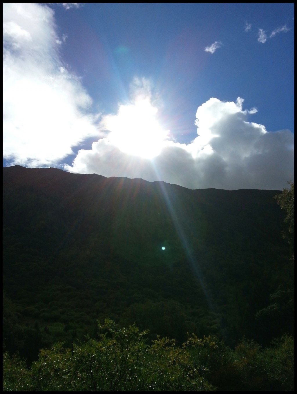 conew_20130920_10050.jpg