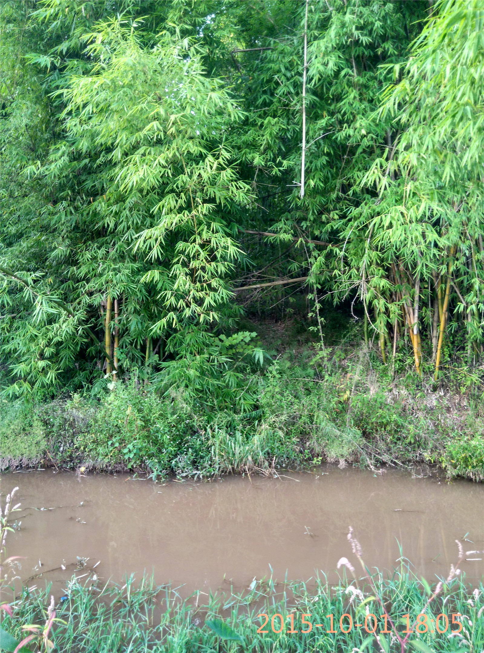 IMG_20151001_180540_HDR.jpg