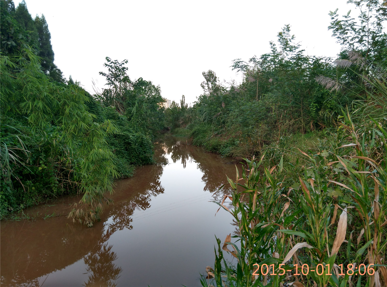 IMG_20151001_180647_HDR.jpg