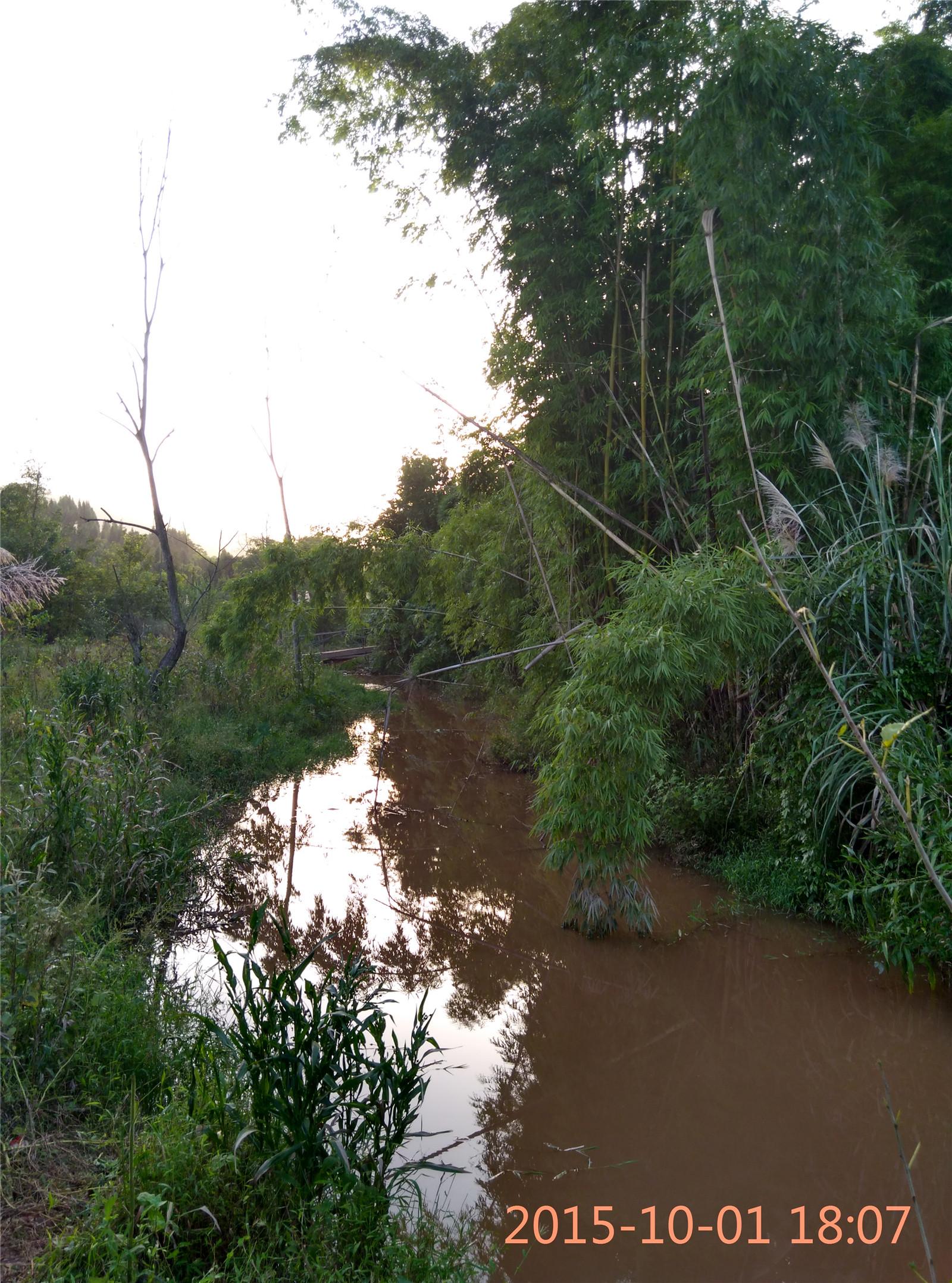 IMG_20151001_180751_HDR.jpg