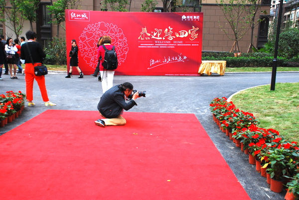 DSC_3242.JPG