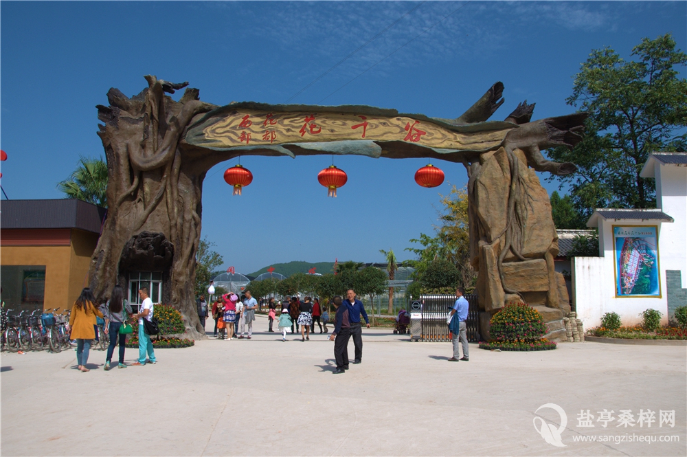 西部花都之花千谷-盐亭论坛-麻辣社区 四川第一网络社区 你的言论
