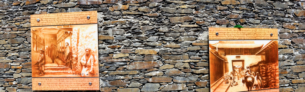 _DSC8651.gif