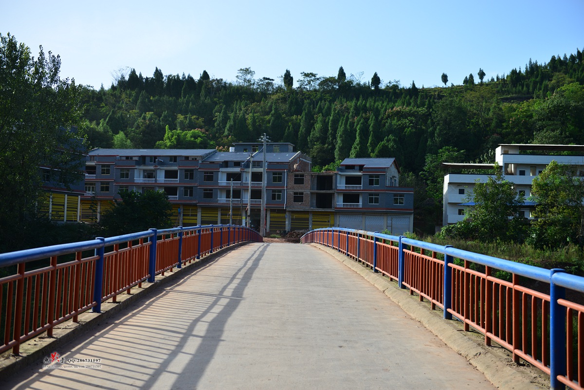 DSC_1690.jpg